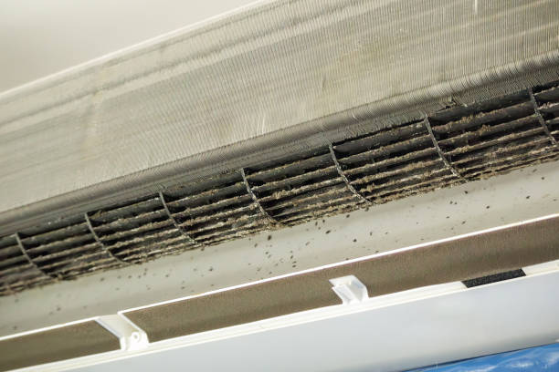 Best Duct Cleaning Specialists  in Comer, GA