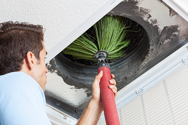 Best Air Duct Mold Removal  in Comer, GA
